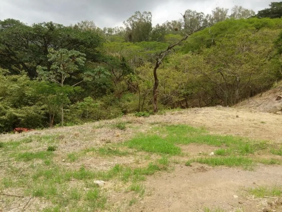 Terreno en Venta en Santa Ana RAH #222371 - Venta en Santa Ana, photo 6