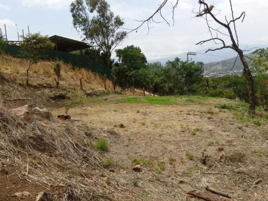 Terreno en Venta en Santa Ana RAH #222371 - Venta en Santa Ana, photo 8