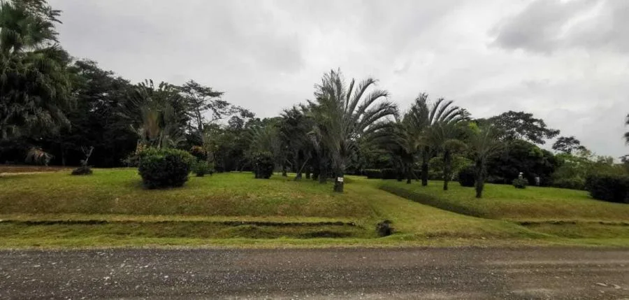 MLS-25-607 LS VENTA LOTE DE 9.800M2 POCOCI GUAPILES - Venta en Pococí