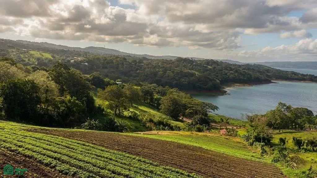 Arenal, Tilarán, Guanacaste