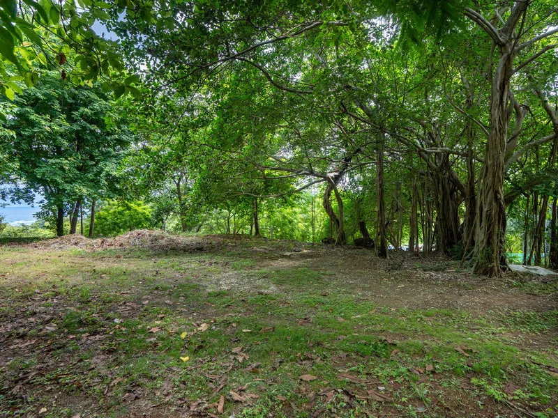 Land For Sale in Tamarindo, photo 4