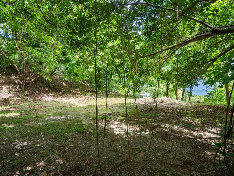 Land For Sale in Tamarindo, photo 5