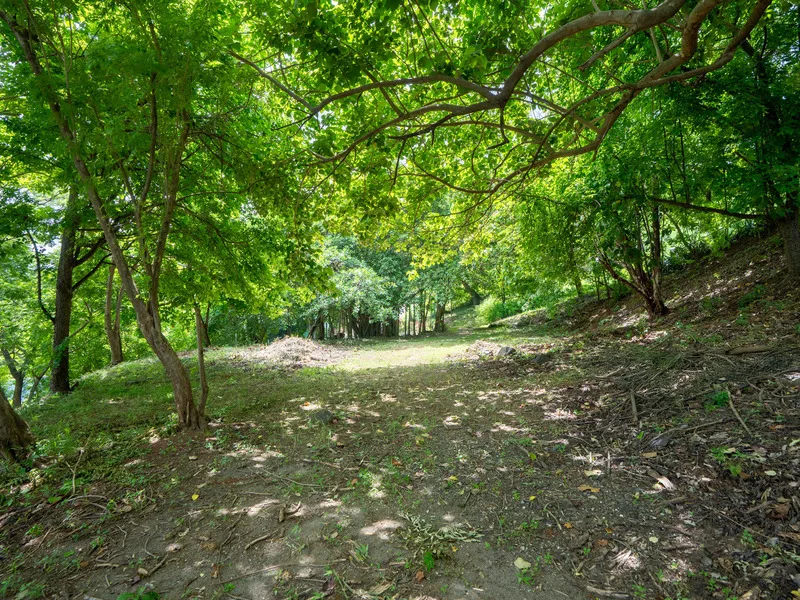 Land For Sale in Tamarindo, photo 6