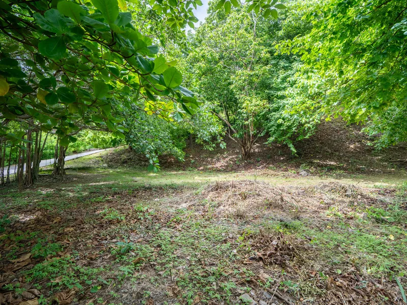 Land For Sale in Tamarindo, photo 7