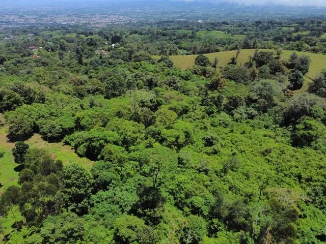 Venta de Lote en San Rafael, Montes de Oca. RAH 26-230 - Venta en Montes de Oca, photo 12