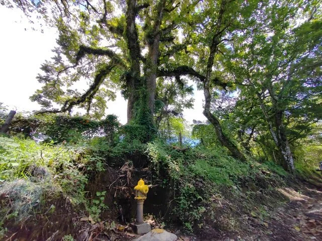 Venta de Lote en San Rafael, Montes de Oca. RAH 26-230 - Venta en Montes de Oca, photo 6