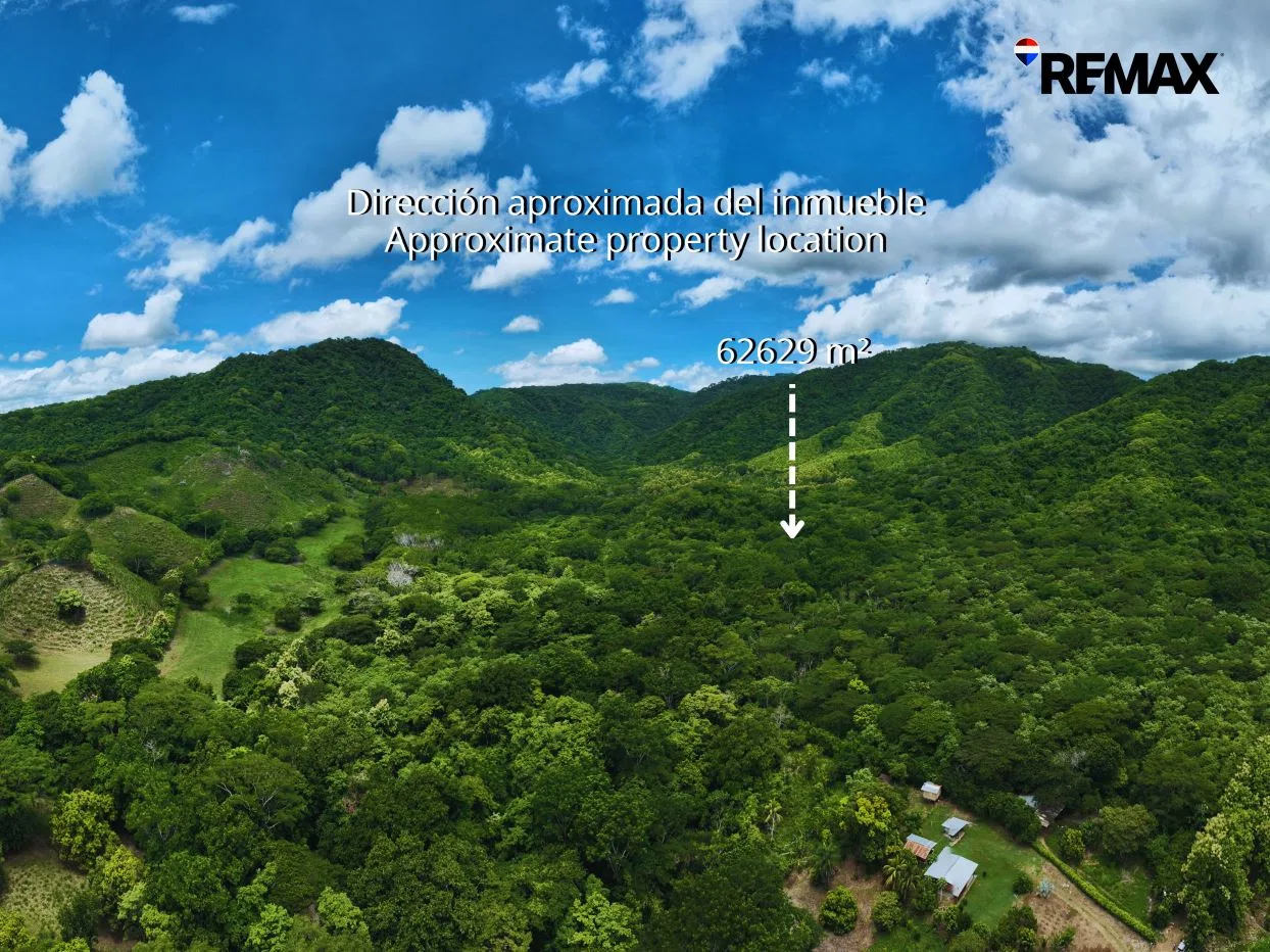 6.26-Hectare Productive Cacao Farm in Pilas de Canjel, Lepanto
