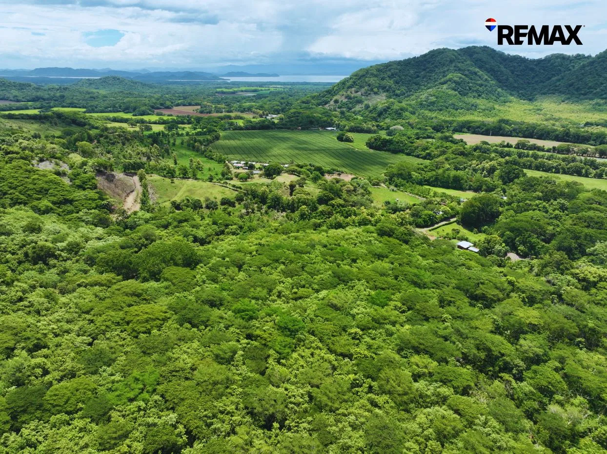 6.26-Hectare Productive Cacao Farm in Pilas de Canjel, Lepanto, photo 2