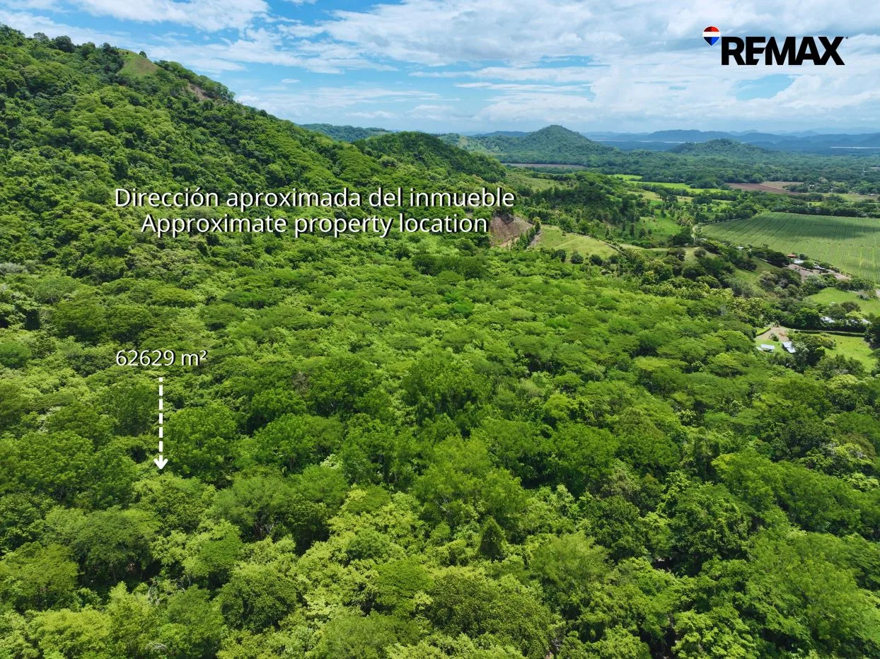 6.26-Hectare Productive Cacao Farm in Pilas de Canjel, Lepanto, photo 3
