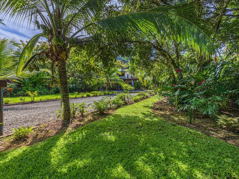 5 Bed Single Family Homes For Sale in Dominical, photo 11