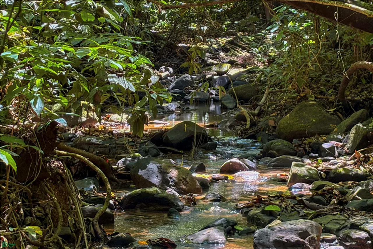 18-Acre Propiedad Privada con Catarata & Rio cerca de Dominical | Financiamiento Disponible, photo 2