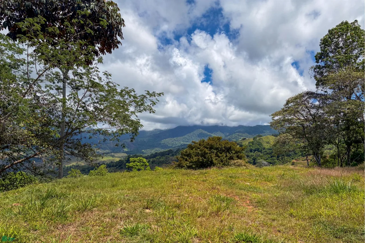 18-Acre Propiedad Privada con Catarata & Rio cerca de Dominical | Financiamiento Disponible, photo 3