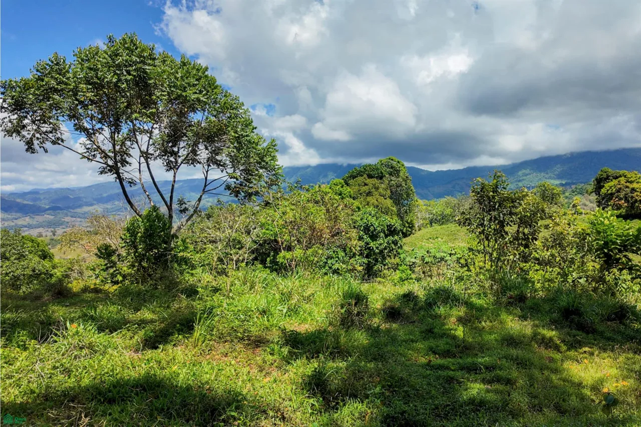 18-Acre Propiedad Privada con Catarata & Rio cerca de Dominical | Financiamiento Disponible, photo 4