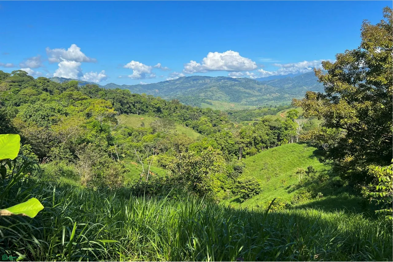 18-Acre Propiedad Privada con Catarata & Rio cerca de Dominical | Financiamiento Disponible, photo 5