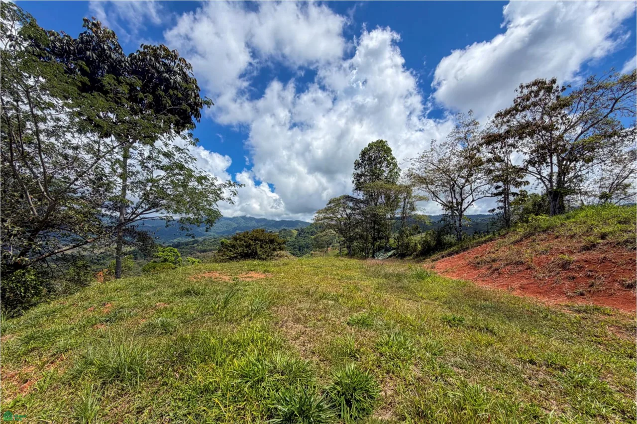18-Acre Propiedad Privada con Catarata & Rio cerca de Dominical | Financiamiento Disponible, photo 6
