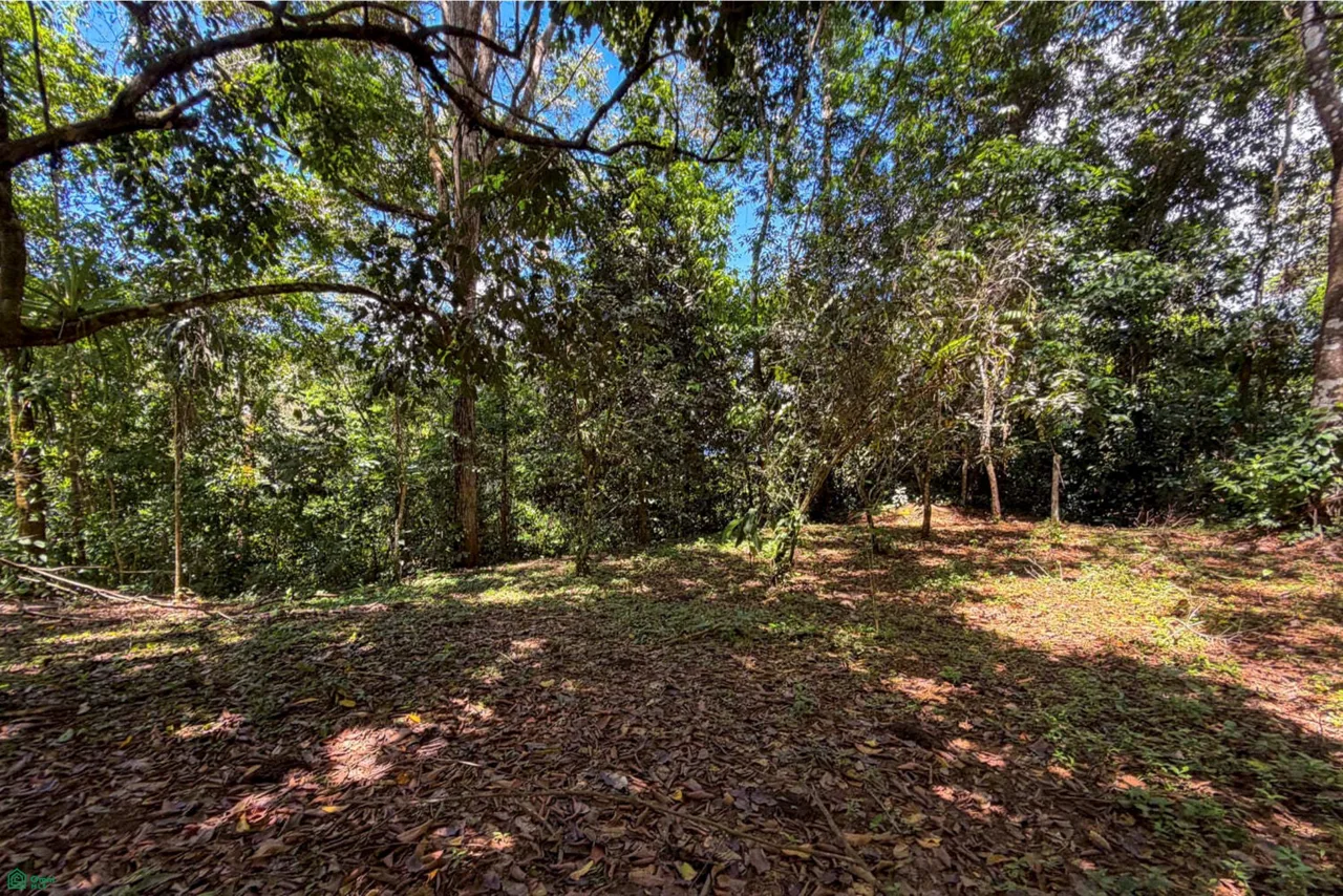18-Acre Propiedad Privada con Catarata & Rio cerca de Dominical | Financiamiento Disponible, photo 7