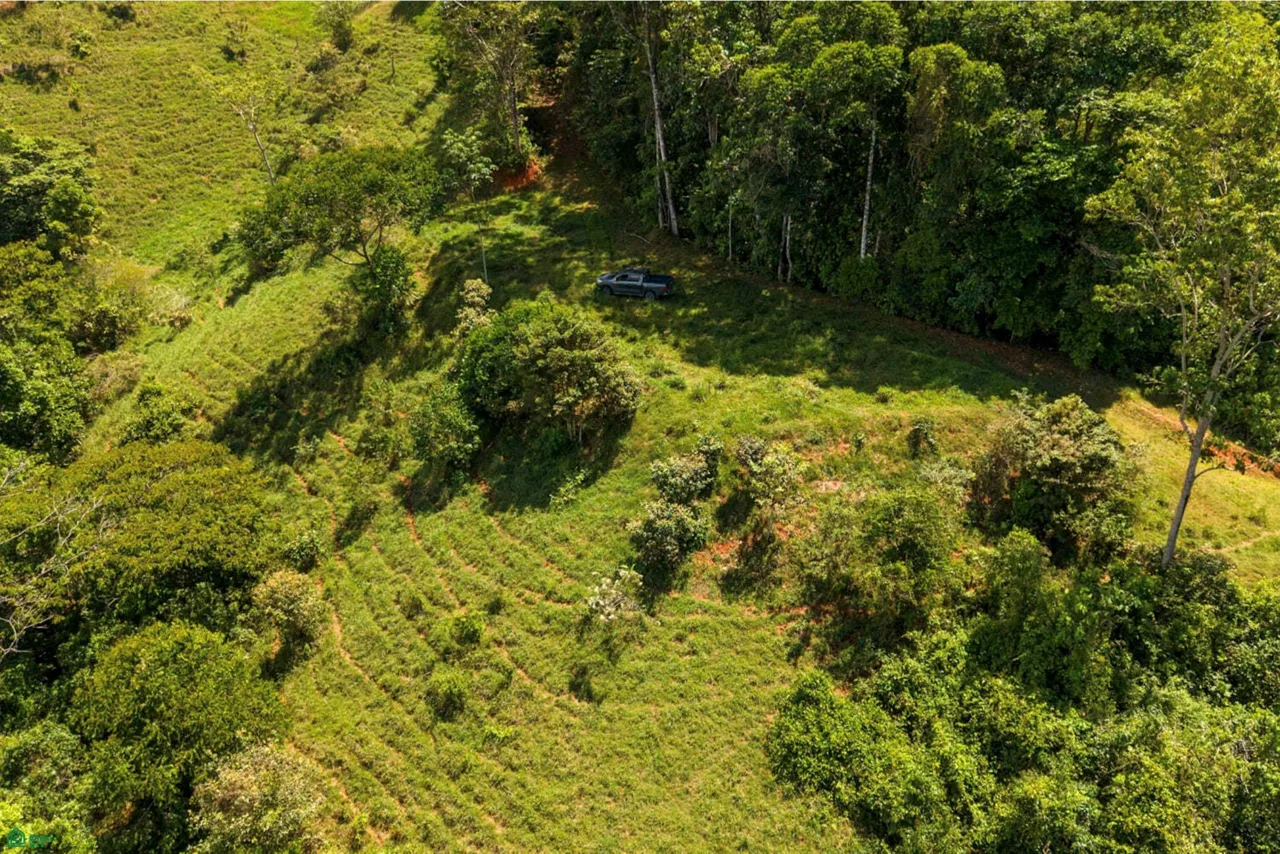 18-Acre Propiedad Privada con Catarata & Rio cerca de Dominical | Financiamiento Disponible, photo 8
