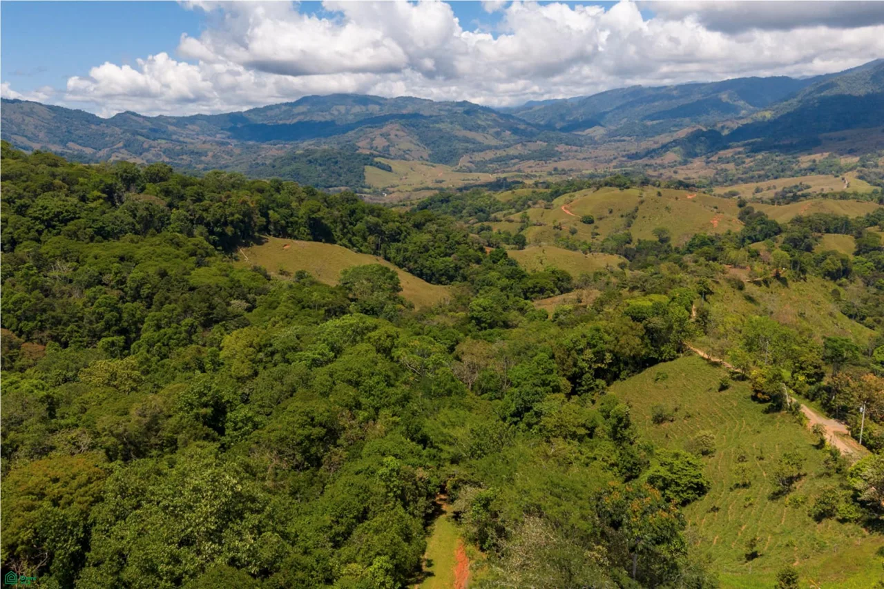 18-Acre Propiedad Privada con Catarata & Rio cerca de Dominical | Financiamiento Disponible, photo 9