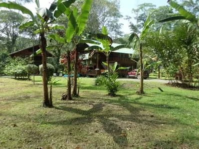 🌴🦋 Precio Nuevo 🦋🌴  Vivir en el Paraiso - 2 Casas  y 2 Bungalows - Lilan - CAHUITA, photo 2