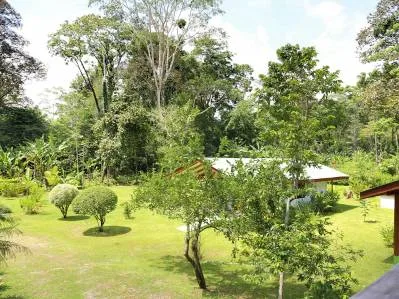 🌴🦋 Precio Nuevo 🦋🌴  Vivir en el Paraiso - 2 Casas  y 2 Bungalows - Lilan - CAHUITA, photo 3