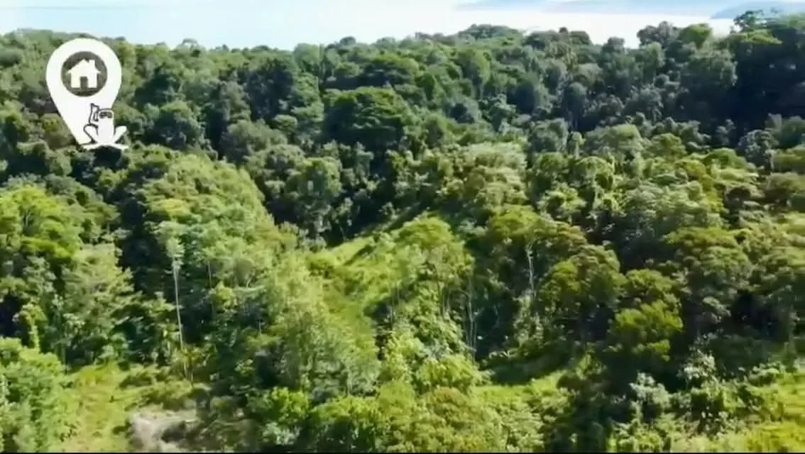 Descubra un rincón mágico e inigualable en el sur de Costa Rica, ubicado en la Península de Osa, ..., photo 11