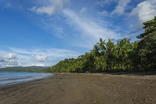 Descubra un rincón mágico e inigualable en el sur de Costa Rica, ubicado en la Península de Osa, ..., photo 12
