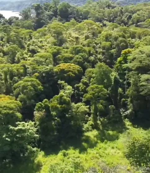 Descubra un rincón mágico e inigualable en el sur de Costa Rica, ubicado en la Península de Osa, ..., photo 4