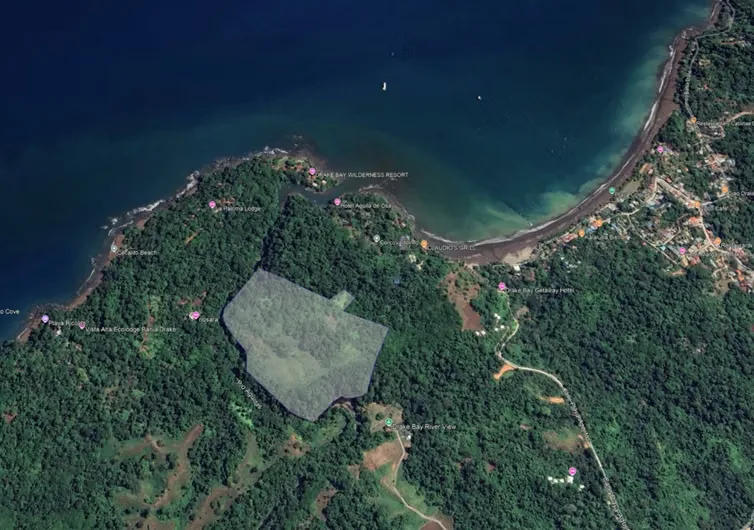 Descubra un rincón mágico e inigualable en el sur de Costa Rica, ubicado en la Península de Osa, ..., photo 7