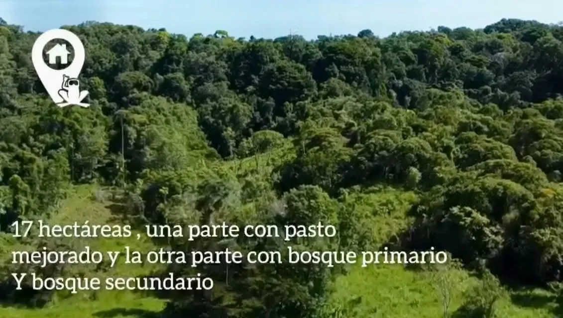 Descubra un rincón mágico e inigualable en el sur de Costa Rica, ubicado en la Península de Osa, ..., photo 10