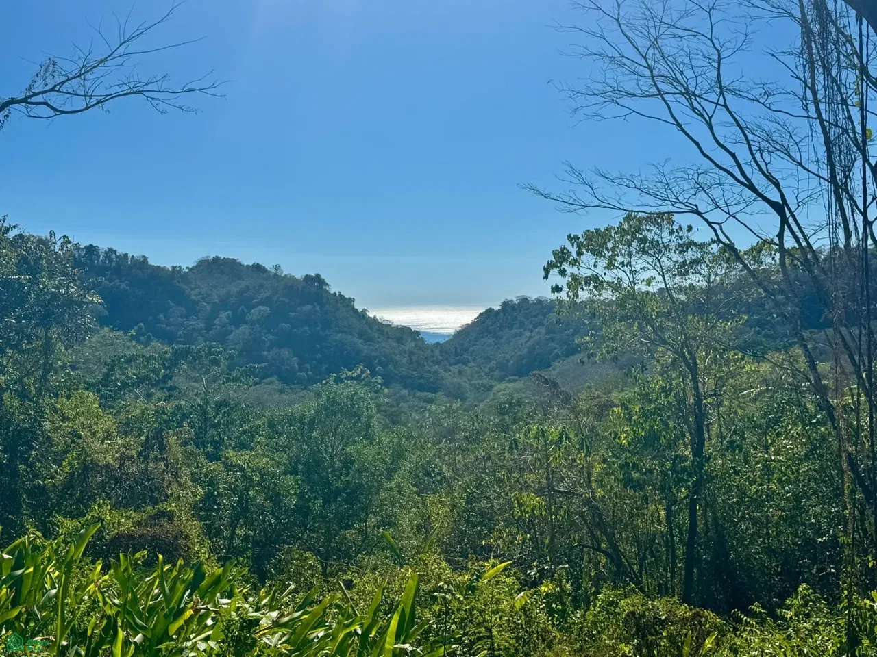 Mal Pais-Cabuya Road, Cóbano, Puntarenas 60111