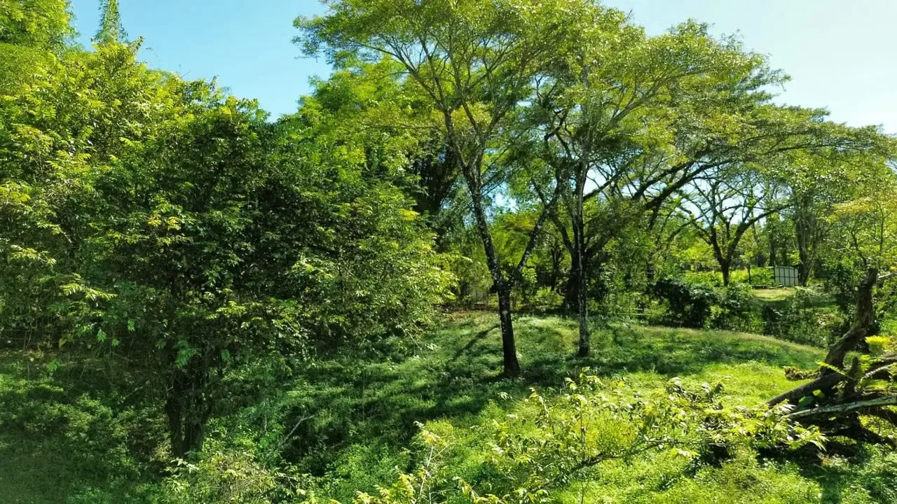This 5,000 m² property is nestled within a tranquil horse ranch in the rolling hills of San Isidro. Just minutes from Cóbano and the pristine beaches of Santa Teresa, this ...