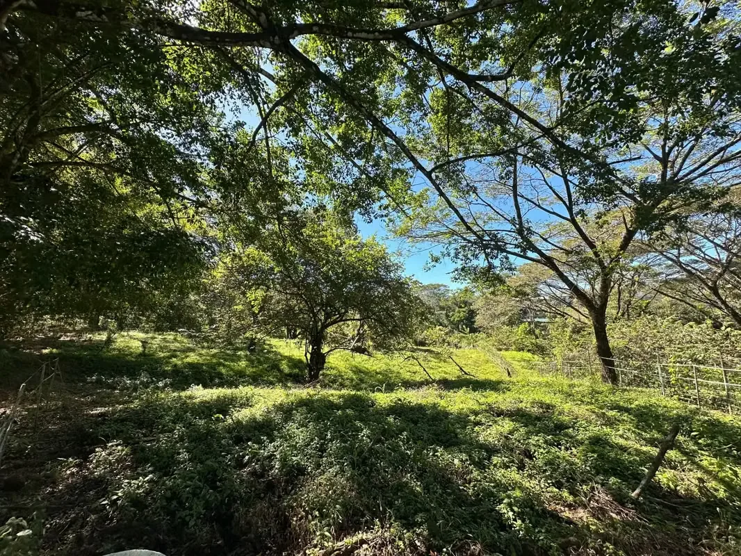 This 5,000 m² property is nestled within a tranquil horse ranch in the rolling hills of San Isidro. Just minutes from Cóbano and the pristine beaches of Santa Teresa, this ..., photo 2