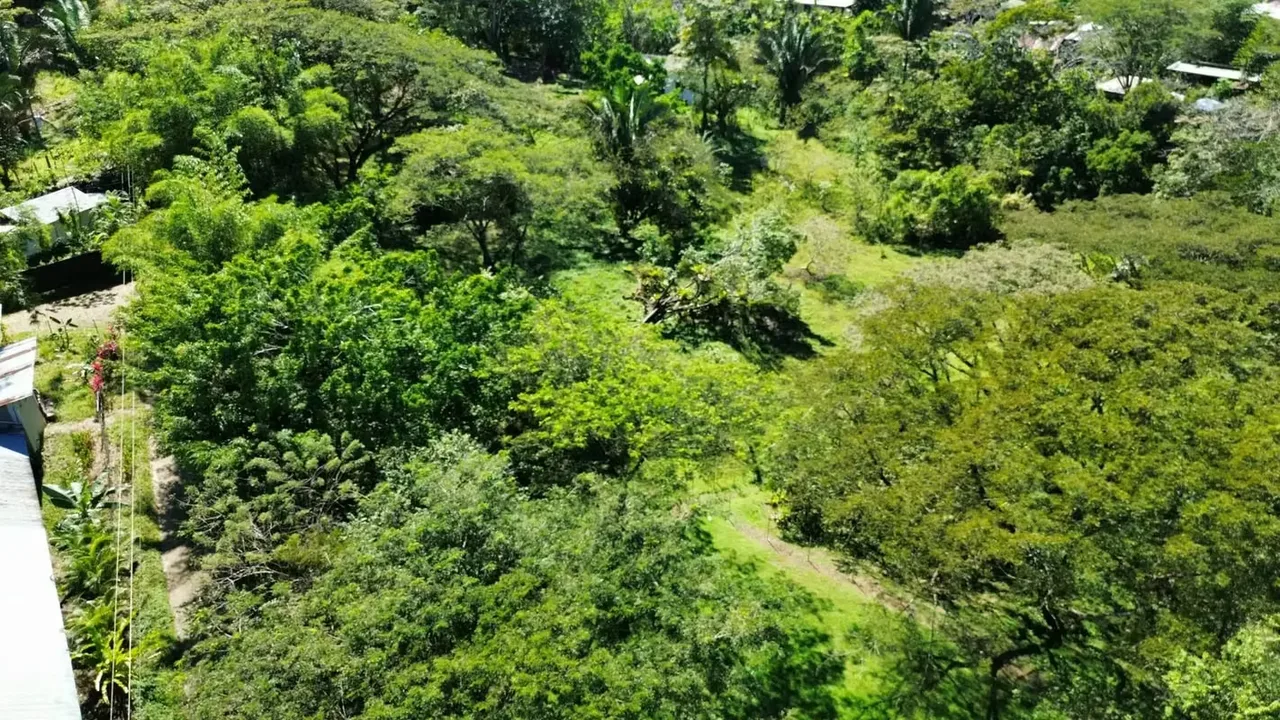 This 5,000 m² property is nestled within a tranquil horse ranch in the rolling hills of San Isidro. Just minutes from Cóbano and the pristine beaches of Santa Teresa, this ..., photo 3