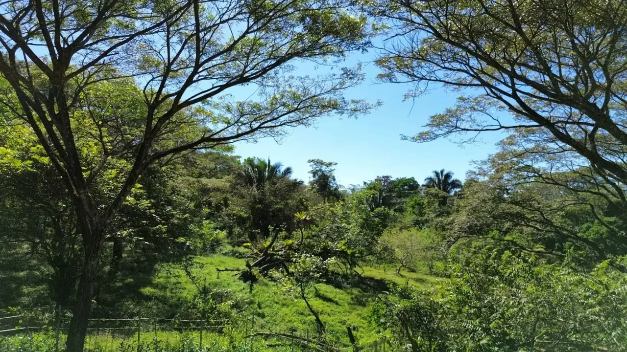 This 5,000 m² property is nestled within a tranquil horse ranch in the rolling hills of San Isidro. Just minutes from Cóbano and the pristine beaches of Santa Teresa, this ..., photo 4