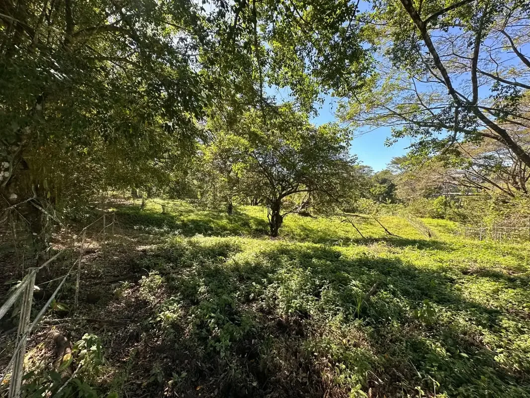This 5,000 m² property is nestled within a tranquil horse ranch in the rolling hills of San Isidro. Just minutes from Cóbano and the pristine beaches of Santa Teresa, this ..., photo 5