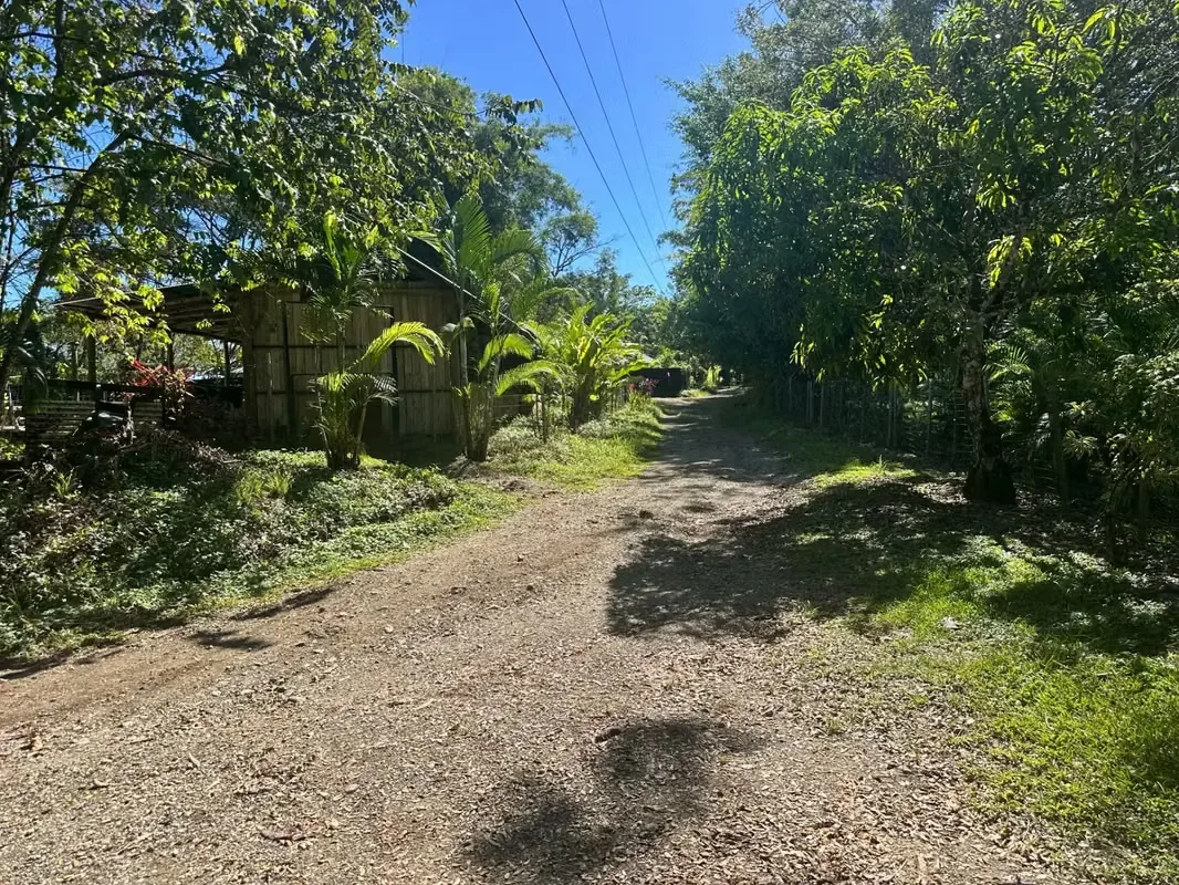 This 5,000 m² property is nestled within a tranquil horse ranch in the rolling hills of San Isidro. Just minutes from Cóbano and the pristine beaches of Santa Teresa, this ..., photo 6