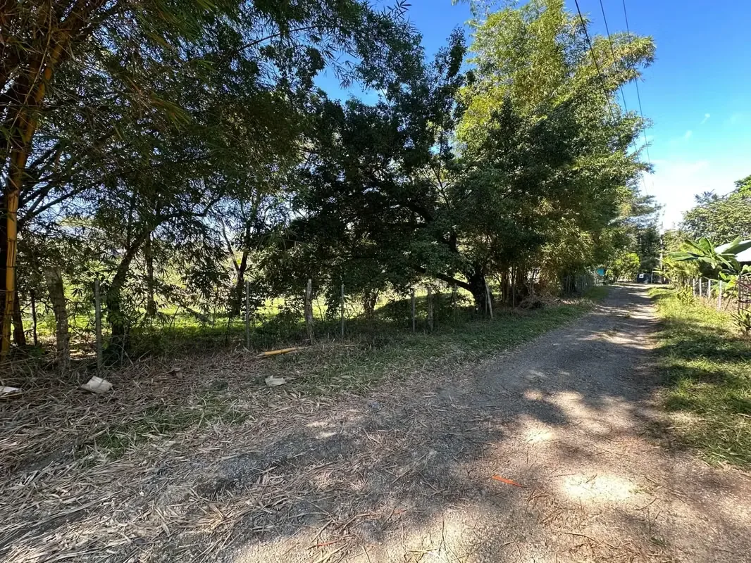 This 5,000 m² property is nestled within a tranquil horse ranch in the rolling hills of San Isidro. Just minutes from Cóbano and the pristine beaches of Santa Teresa, this ..., photo 7