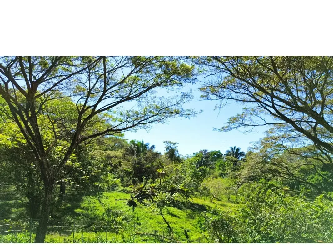 This 5,000 m² property is nestled within a tranquil horse ranch in the rolling hills of San Isidro. Just minutes from Cóbano and the pristine beaches of Santa Teresa, this ..., photo 8