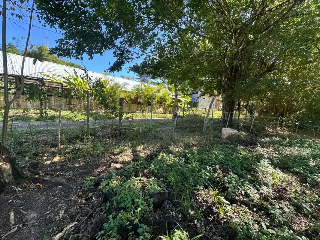 This 5,000 m² property is nestled within a tranquil horse ranch in the rolling hills of San Isidro. Just minutes from Cóbano and the pristine beaches of Santa Teresa, this ..., photo 9