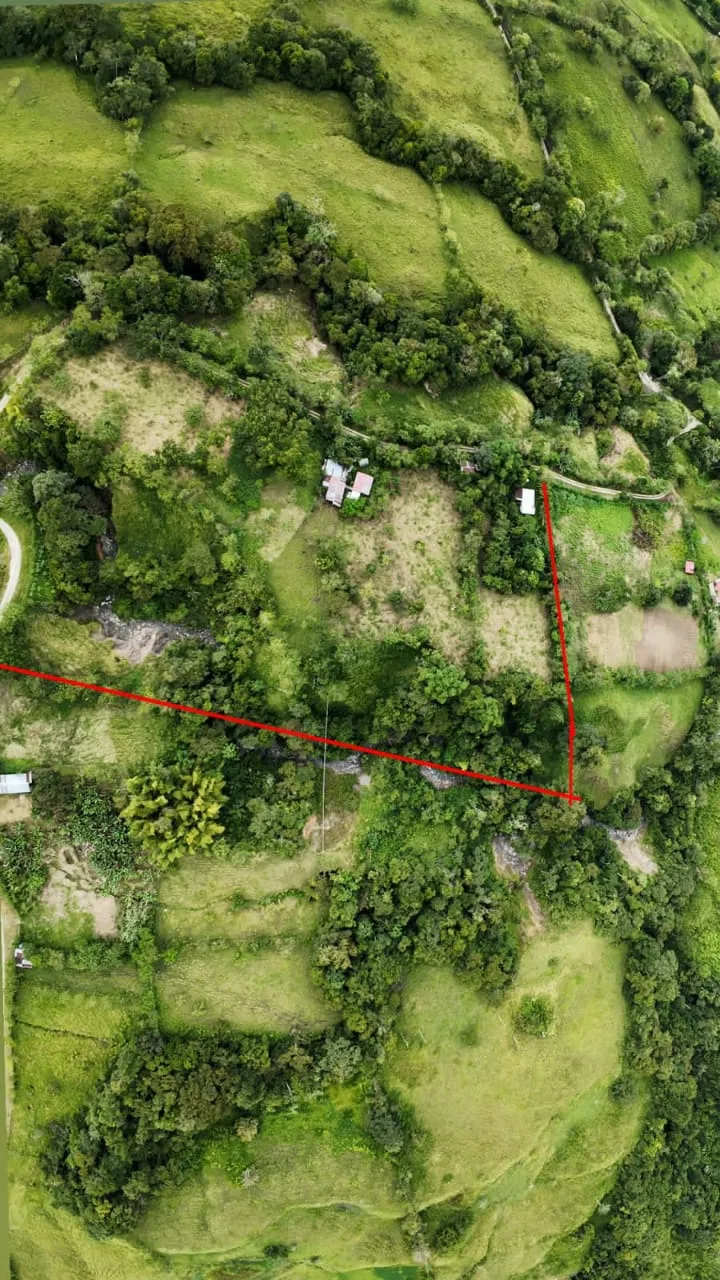 Sustainable Permaculture Farm for Sale in San Vito, Costa Rica - REMAX Jungle Properties | Pavones Golfito Real Estate