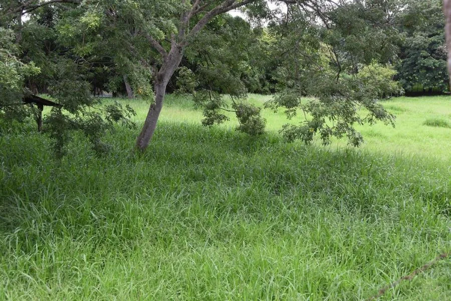 Venta de Lote en Poás, Alajuela. - Venta en Poás
