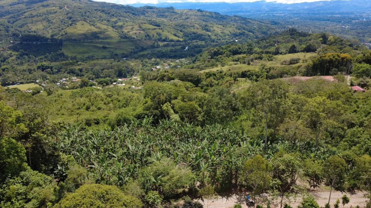 Land For Sale In La Fila, Rivas - Coffee And Banana Farm Near Chirripó, photo 12