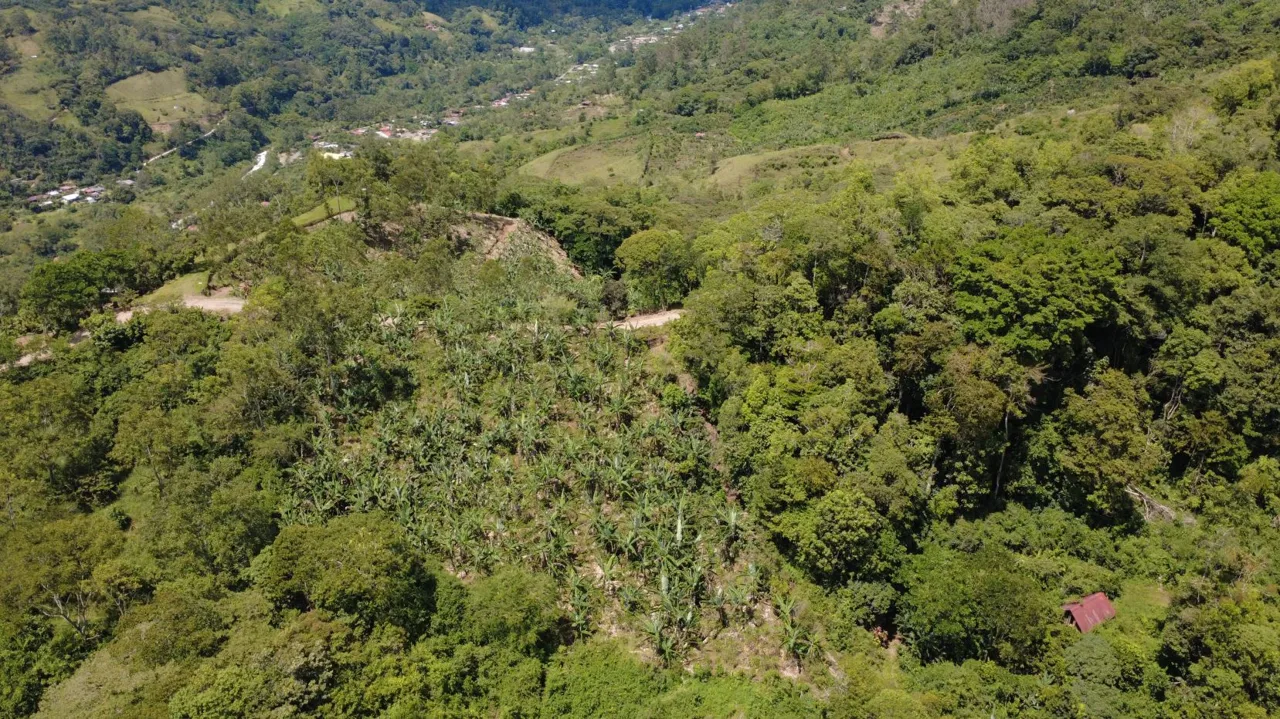 Land For Sale In La Fila, Rivas - Coffee And Banana Farm Near Chirripó, photo 13