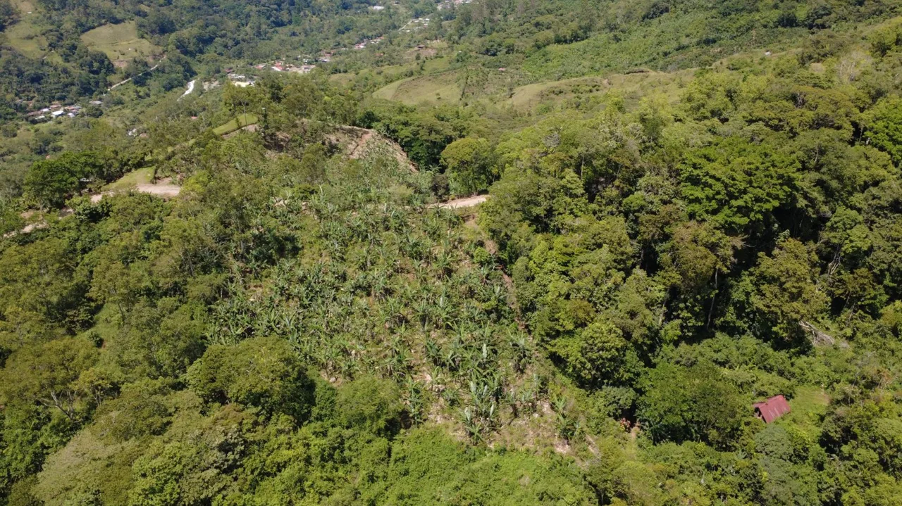Land For Sale In La Fila, Rivas - Coffee And Banana Farm Near Chirripó, photo 14
