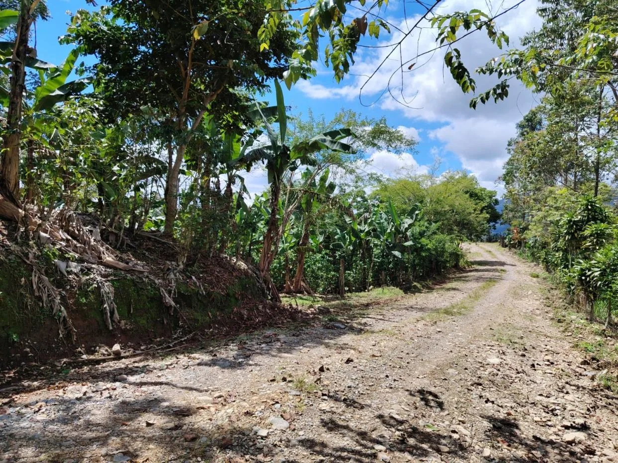 Land For Sale In La Fila, Rivas - Coffee And Banana Farm Near Chirripó, photo 15