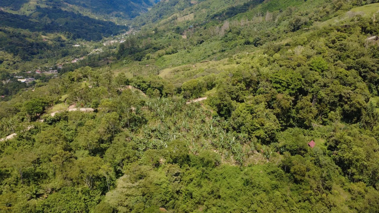 Land For Sale In La Fila, Rivas - Coffee And Banana Farm Near Chirripó, photo 10