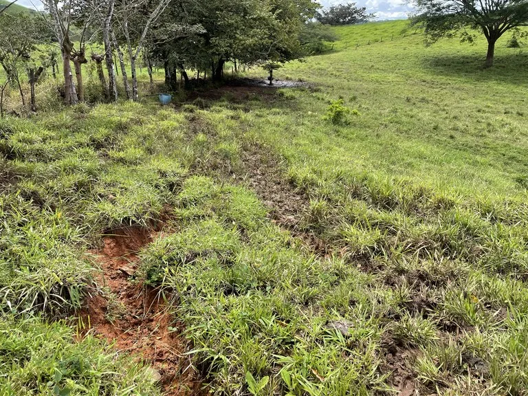 Agricultural Land in Guacimal