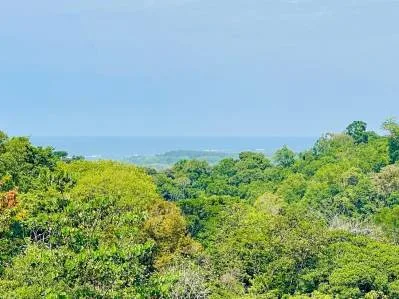 BUILDING PROPERTY WITH MOUNTAIN VIEWS, IN LA COLONIA UVITA – 0.51 ACRES, photo 31