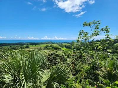 Lote de 1.85 acres con Vistas al mar Y Río increíble, photo 7