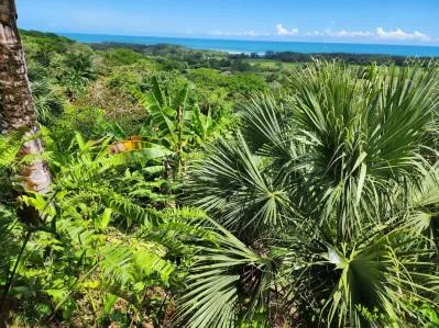Lote de 1.85 acres con Vistas al mar Y Río increíble, photo 9